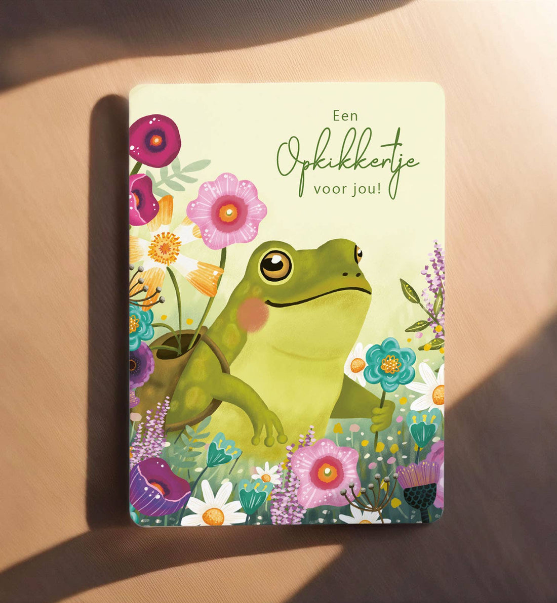 Kaart beterschap kikker opkikkertje bloemen ansichtkaart