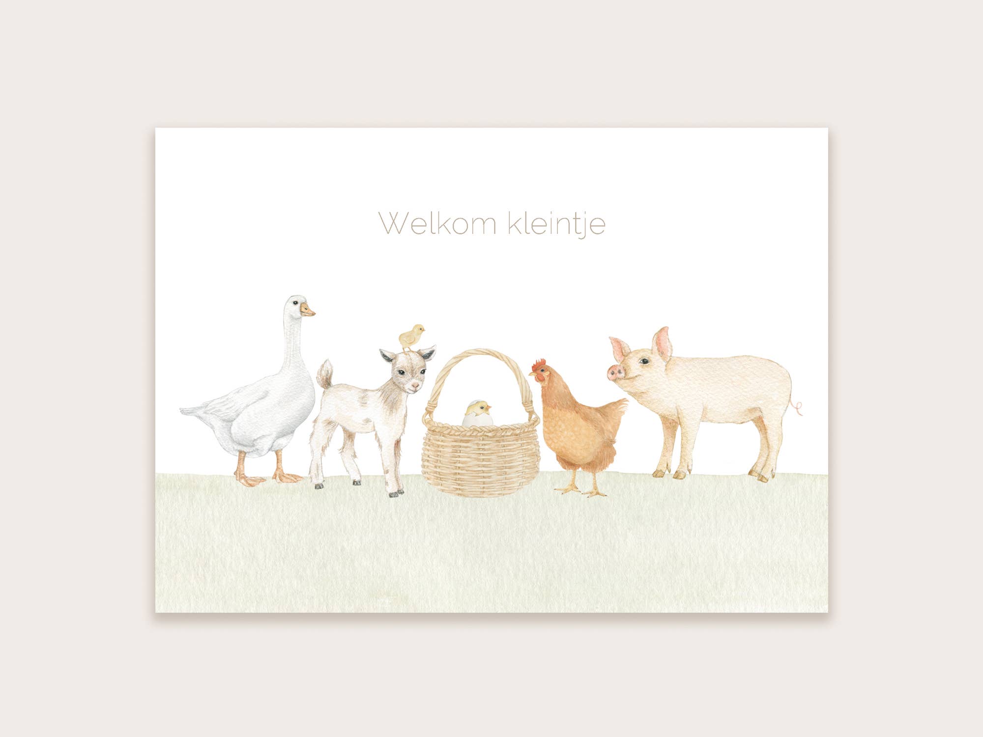 Ansichtkaart Welkom kleintje | Kaart Appeloogje