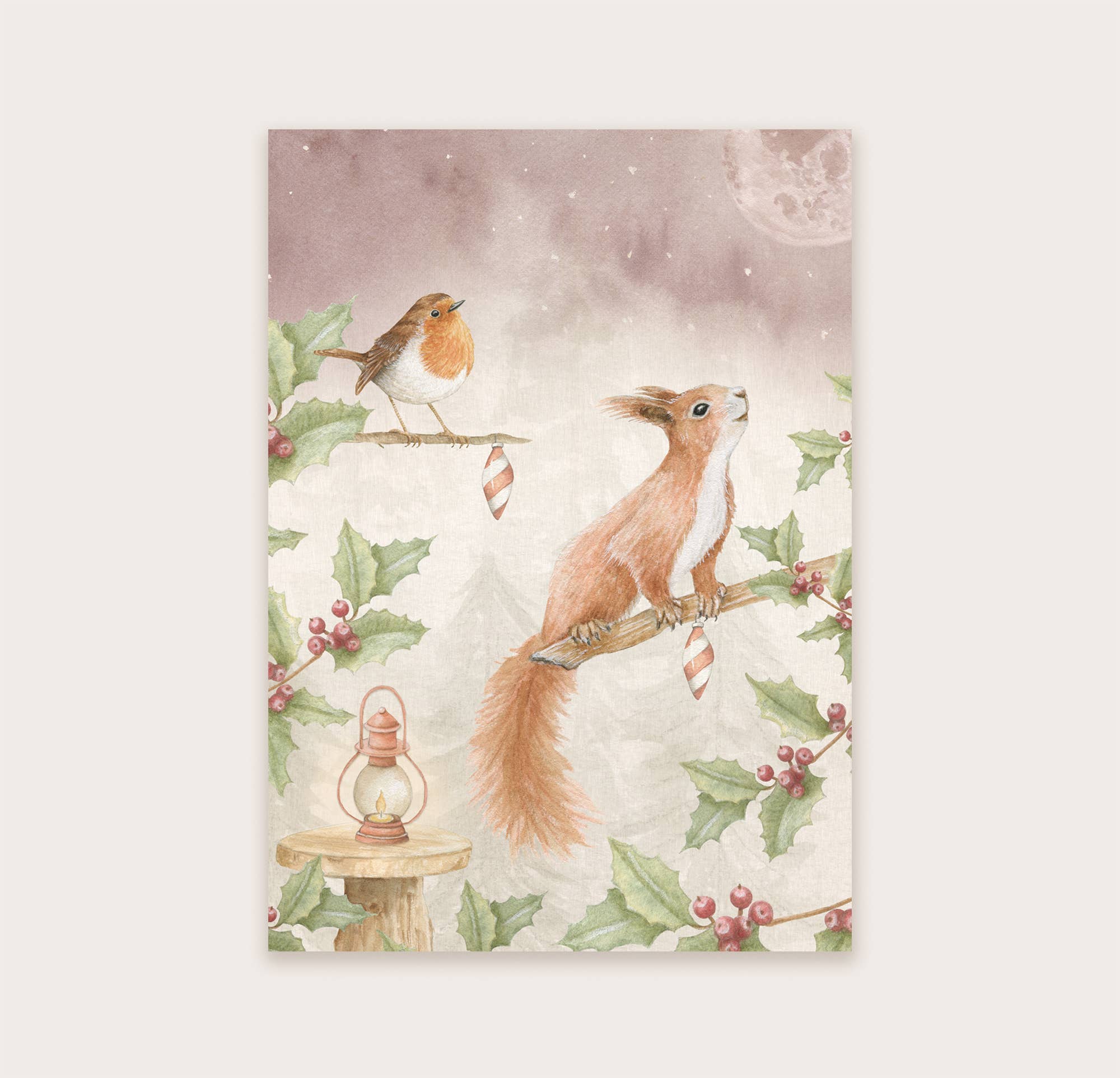 Ansichtkaart eekhoorn met roodborstje | Kaart Appeloogje