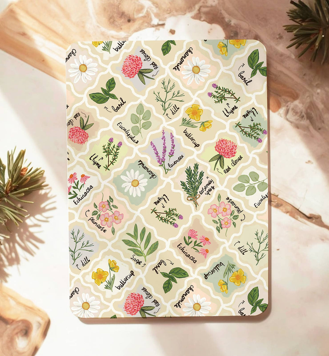 Kaart kruiden planten botanisch bloemen zomaar | Kaart Aniet Illustration