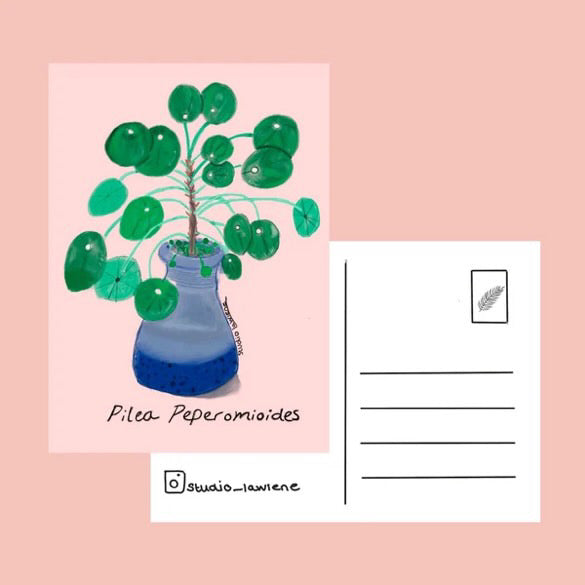 Pilea Peperomioides | Kaart Studio LaWiene