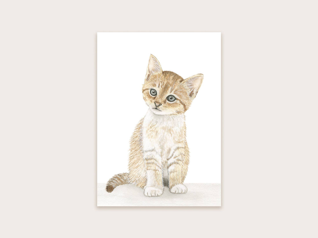 Ansichtkaart kat | Kaart Appeloogje