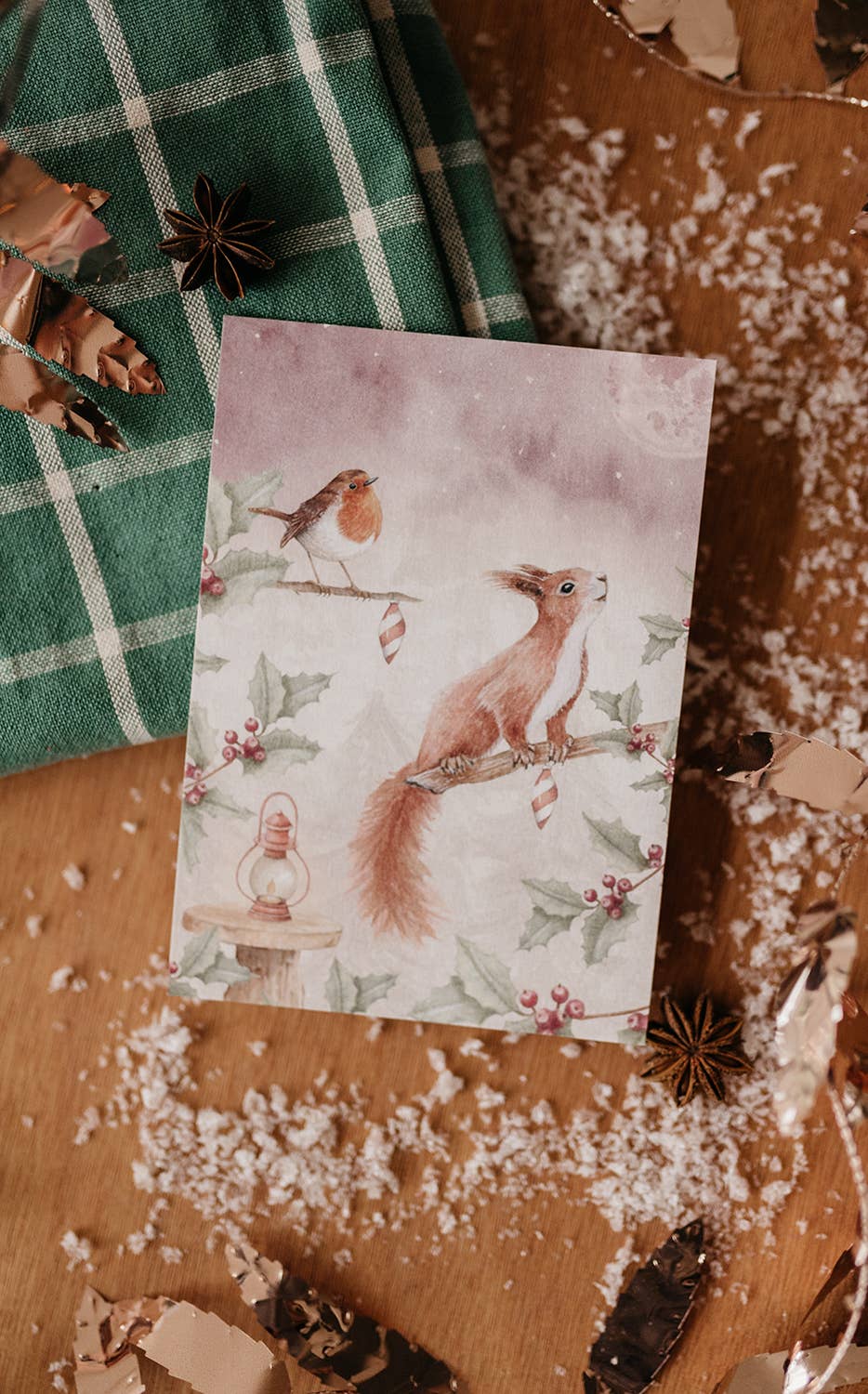 Ansichtkaart eekhoorn met roodborstje | Kaart Appeloogje