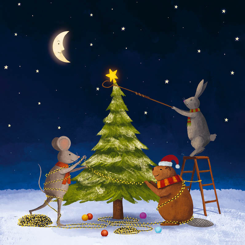 Kerstkaarten set: NR. 03 (Lance) | Kaartenbundel Zintenz