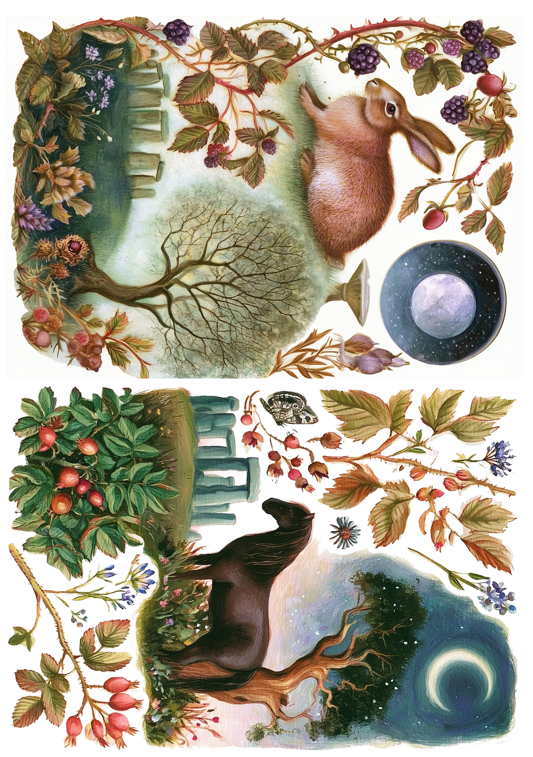 Nature | Creative Paper Set Fripperies