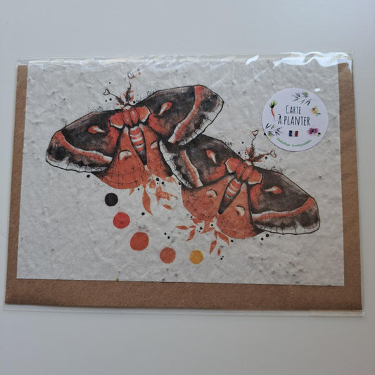 Oranje vlinders | Les cartes de Lulu