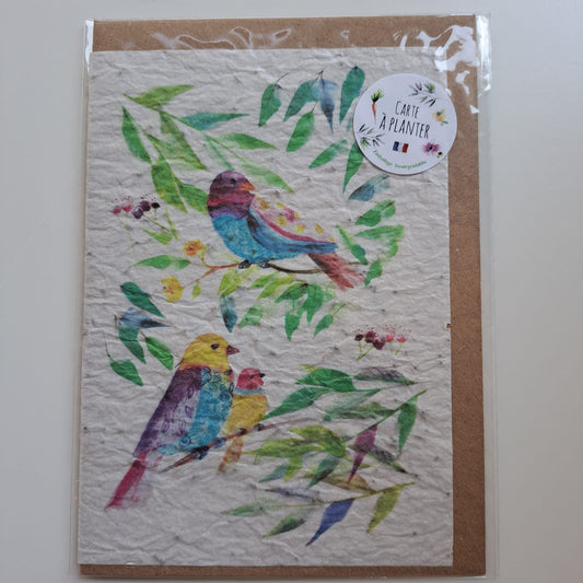 Vogeltjes | Les cartes de Lulu