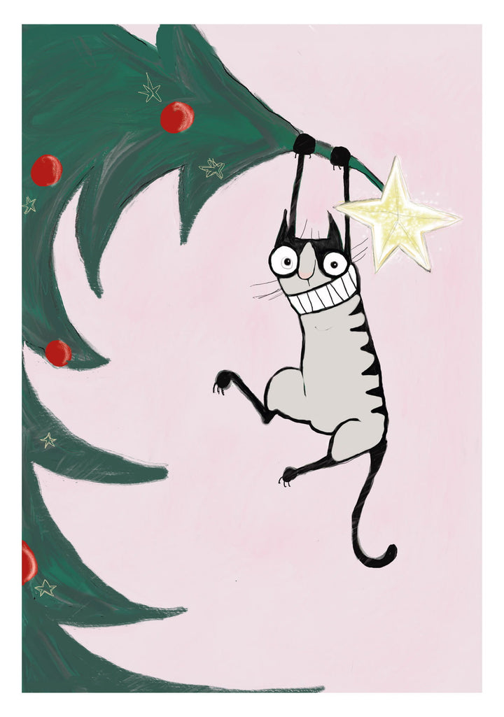 Cat | Kaart Kittiekat
