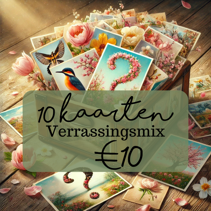 Verrassingspakket 10 kaarten | kaartenpakket Fripperies