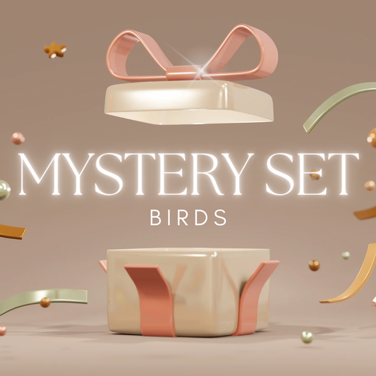 Mystery card set: Birds | Kaartenset Fripperies