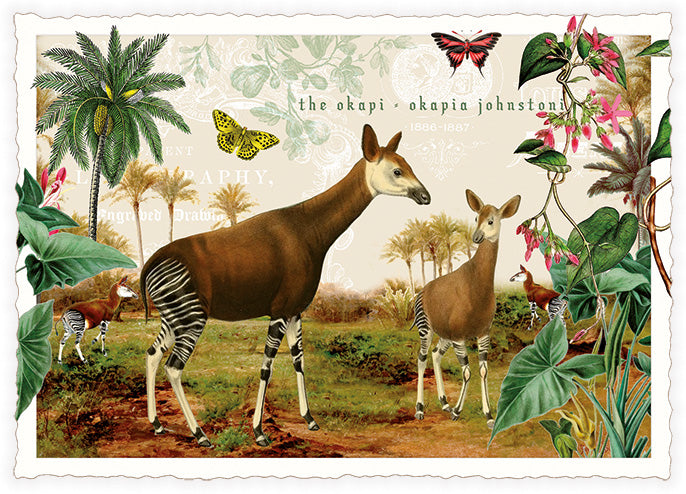 Okapi  (PK1263) | Kaart Edition Tausendschön