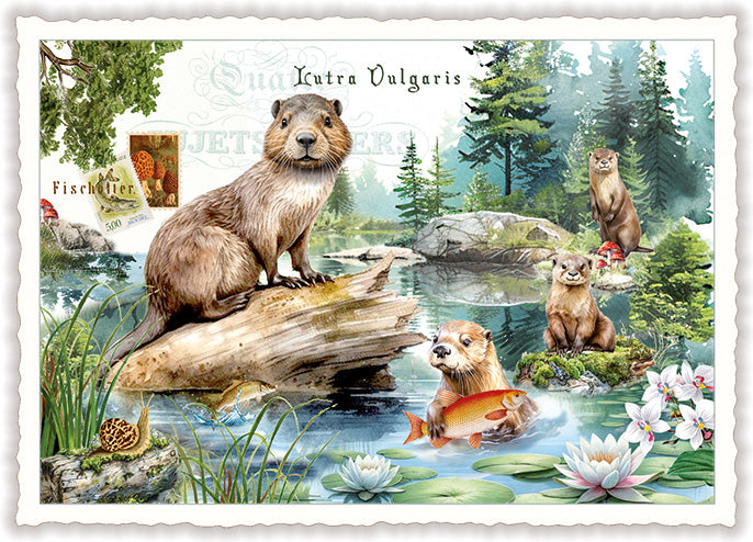 Otter (PK1324) | Kaart Edition Tausendschön