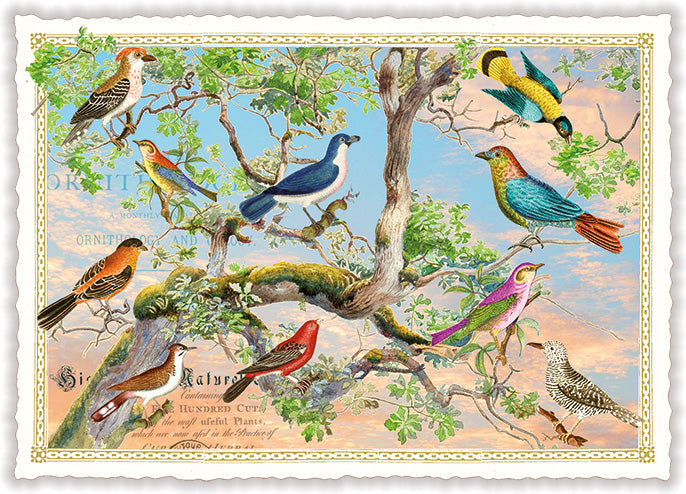 Vogelbaum (PK1326) | Kaart Edition Tausendschön