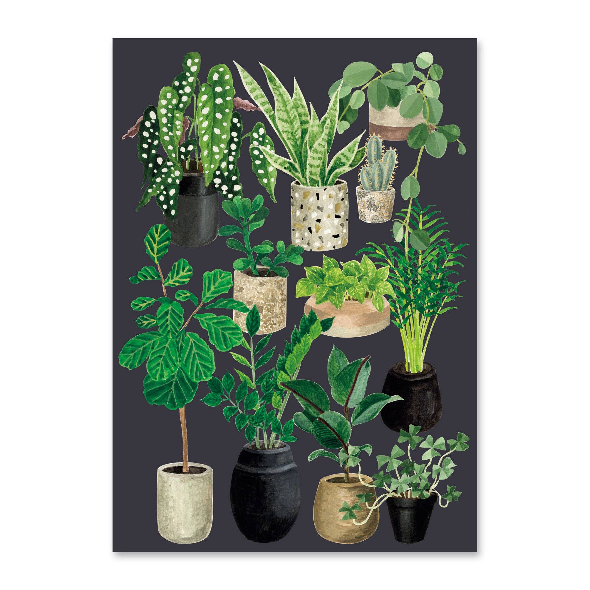 Plant Love ansichtkaart - leisteen