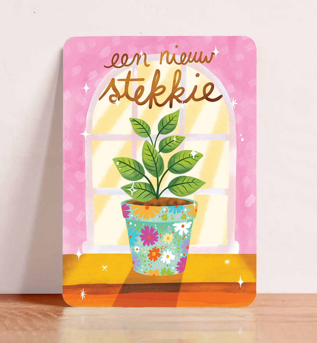 Kaart felicitatie nieuwe woning stekkie roze ansichtkaart