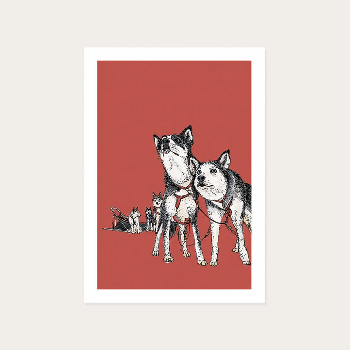 Husky's met hondenslee | Kaart Kaartstudio