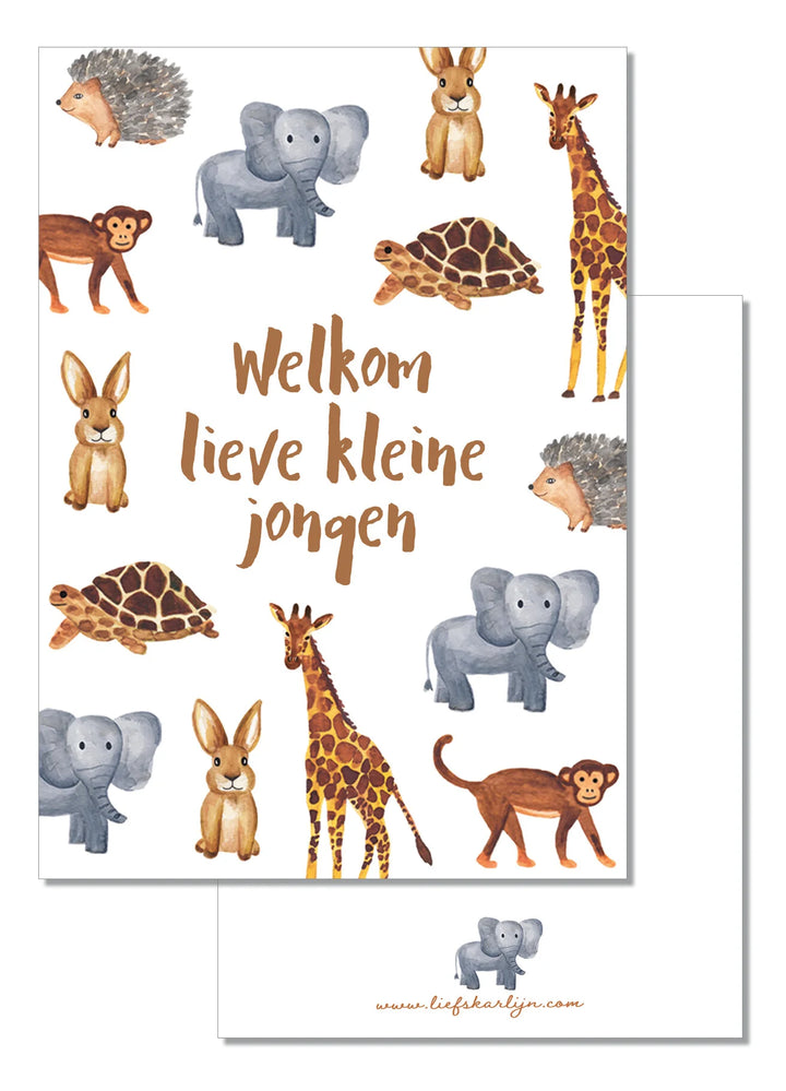 Welkom lieve kleine jongen | Kaart LiefsKarlijn