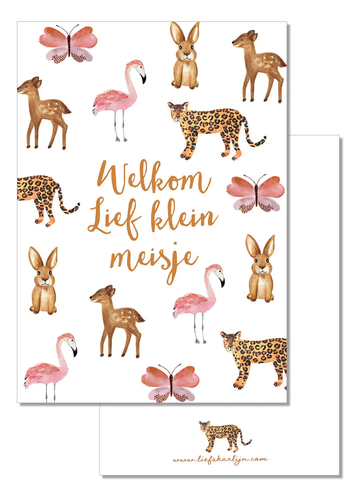 Welkom lief klein meisje | Kaart LiefsKarlijn