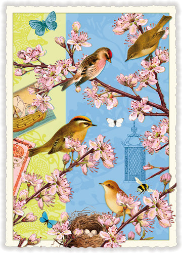 Vogels (PK373) | Kaart Edition Tausendschön