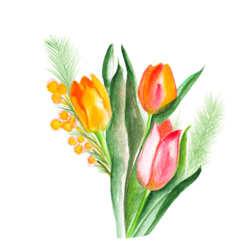 Tulpen| Sluitstickers 10st.