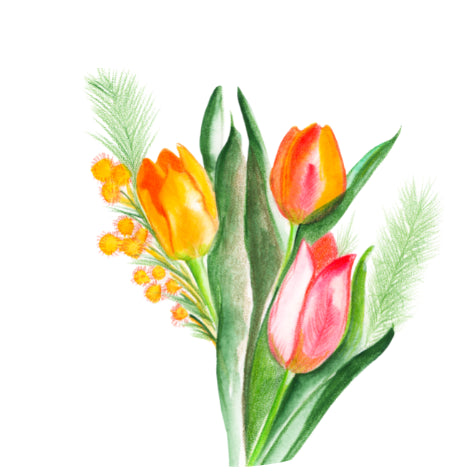 Tulpen| Verschlussaufkleber 10 Stk.