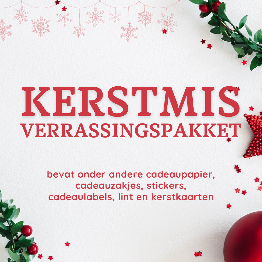 Kerstmis Verrassingspakket