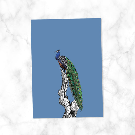 Pauw blauw| Kaart Kaartstudio