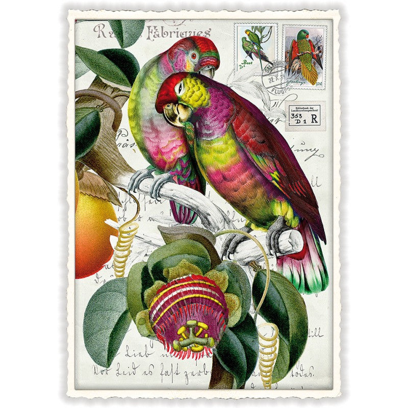 Papegaaienpaar| Kaart Edition Tausendschön