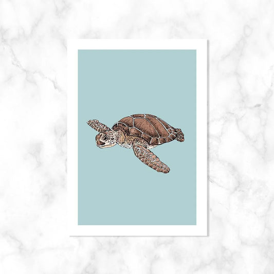 Zeeschildpad| Kaart Kaartstudio