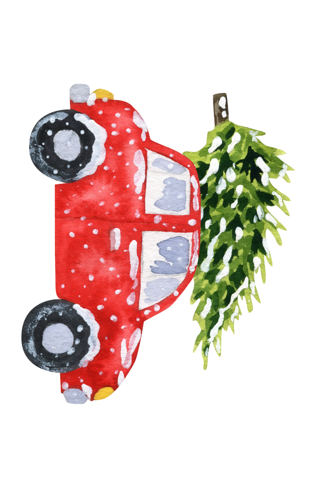 Auto met kerstboom | Minikaart Fripperies