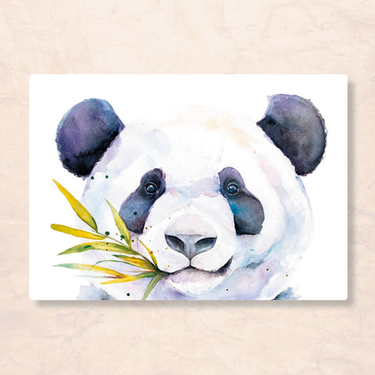 Pandabeer | Veer