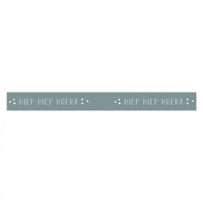 Hiep hiep hoera Mint/Blauw| Lint 5m