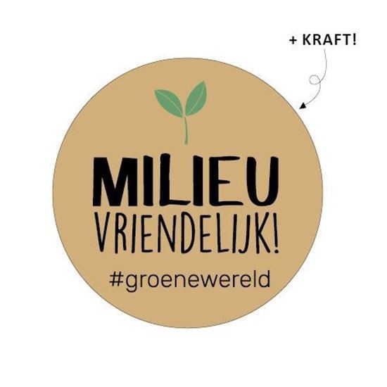 Mileu vriendelijk!| Sluitstickers 10st