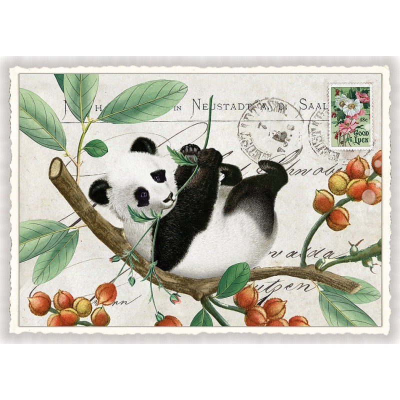 Panda| Kaart Edition Tausendschön
