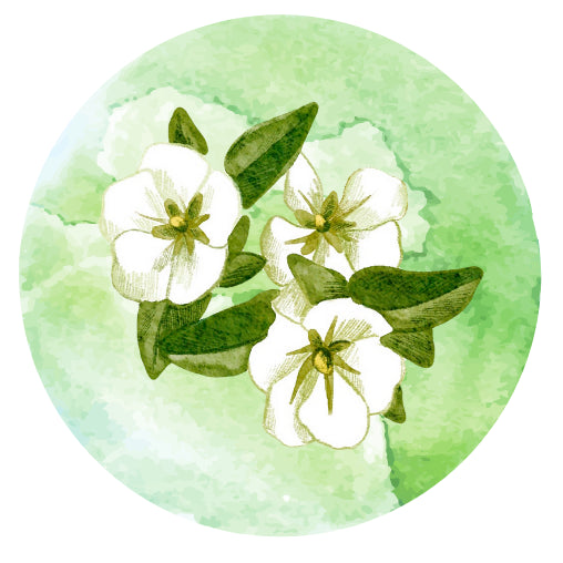 Groene bloemen | Sluitstickers 10st.