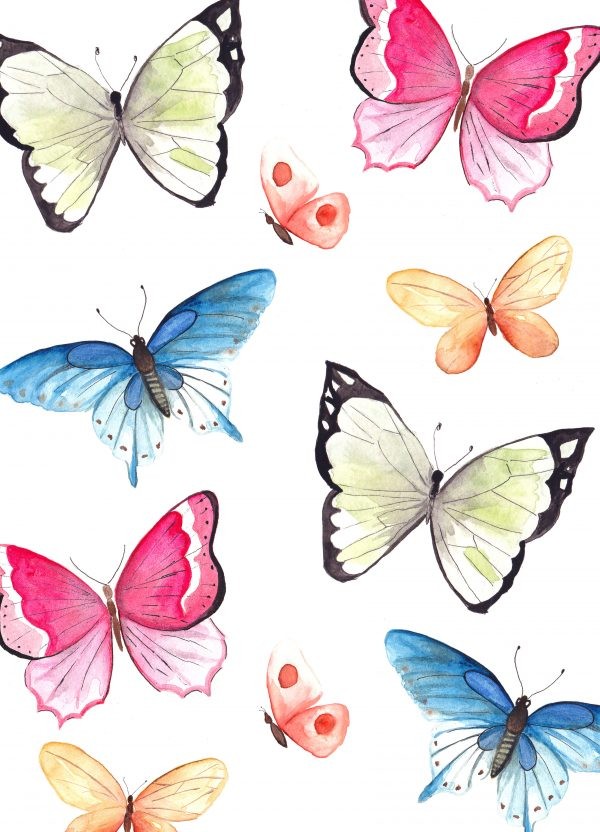 Vlinders | Postkaart FRITSY