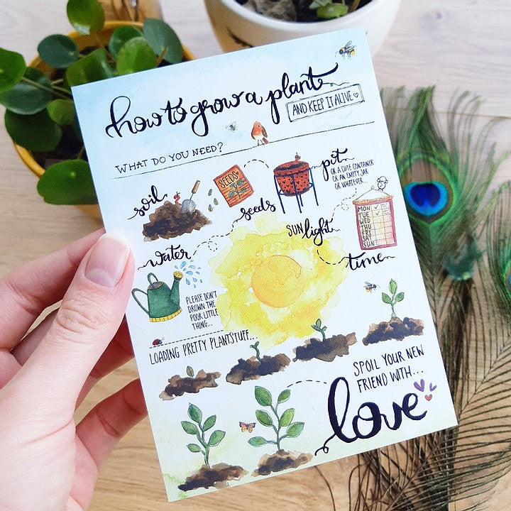 How to grow a plant | Postkaart A6 Romyillustrations