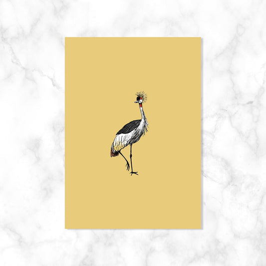 Kraanvogel| Kaartstudio