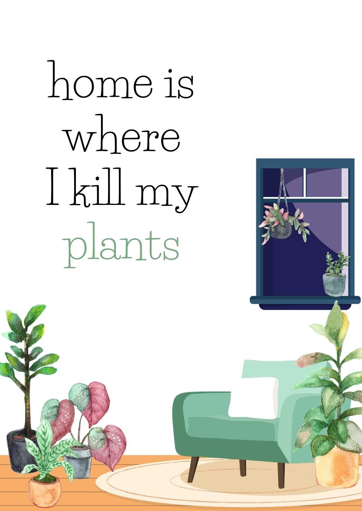 Home is where I kill my plants | Fripperies