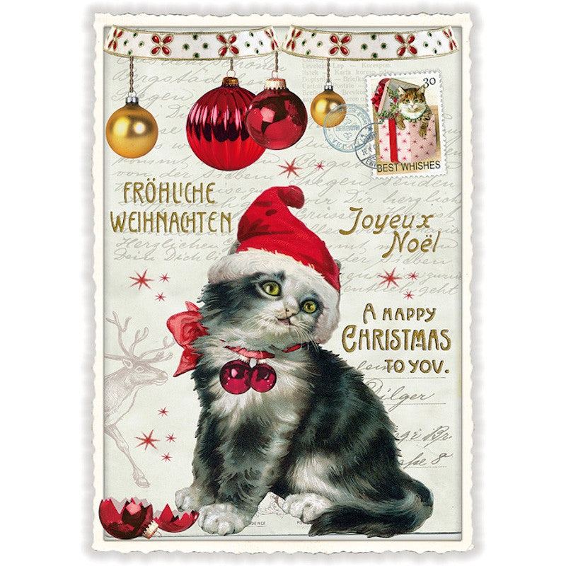 Kerst kat| Kaart Edition Tausendschön