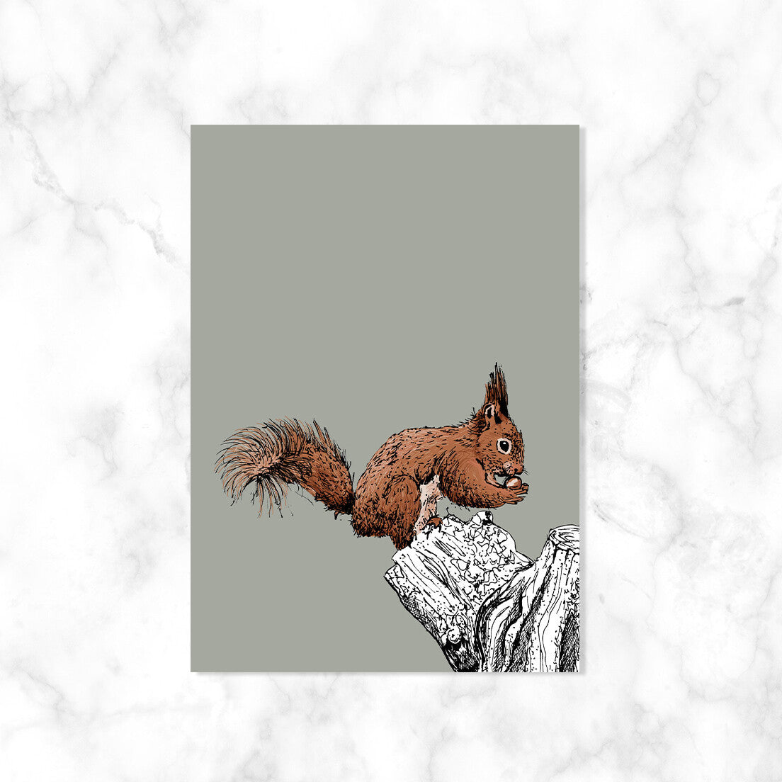 Eekhoorn| Kaart Kaartstudio
