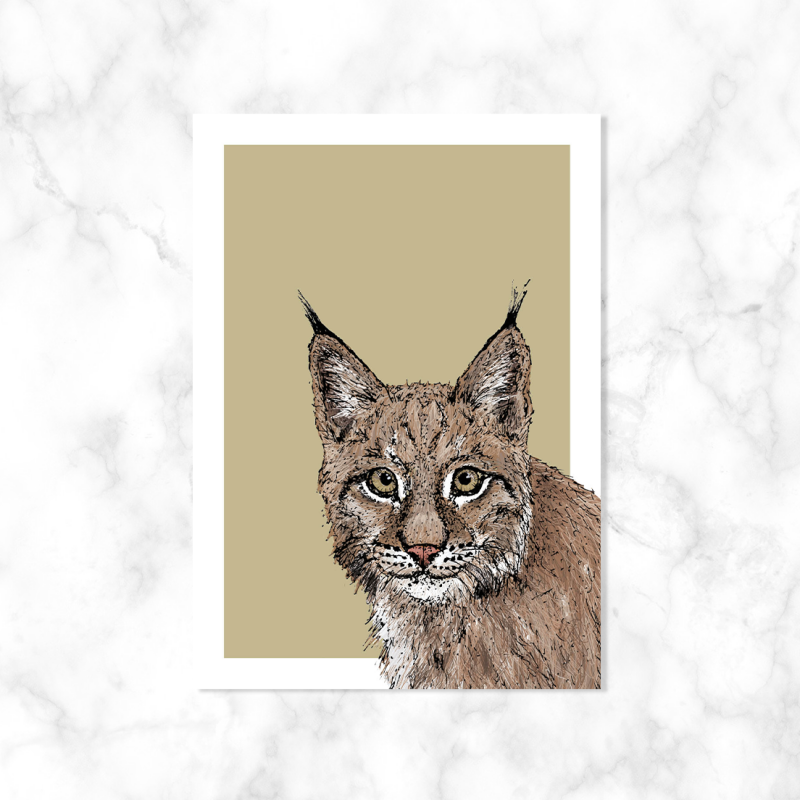Lynx | Kaartstudio